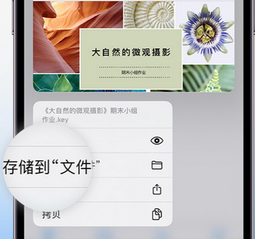 吉利apple维修中心分享iPhone文件应用中存储和找到下载文件