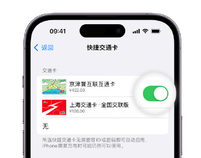 吉利apple维修点分享iPhone上更换Apple Pay快捷交通卡手绘卡面 