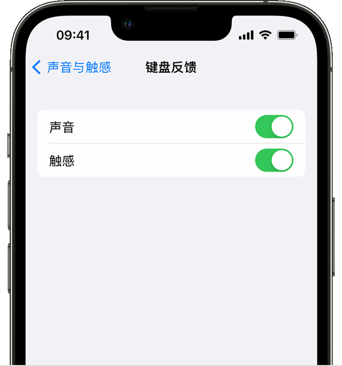 吉利苹果14维修店分享如何在 iPhone 14 机型中使用触感键盘 