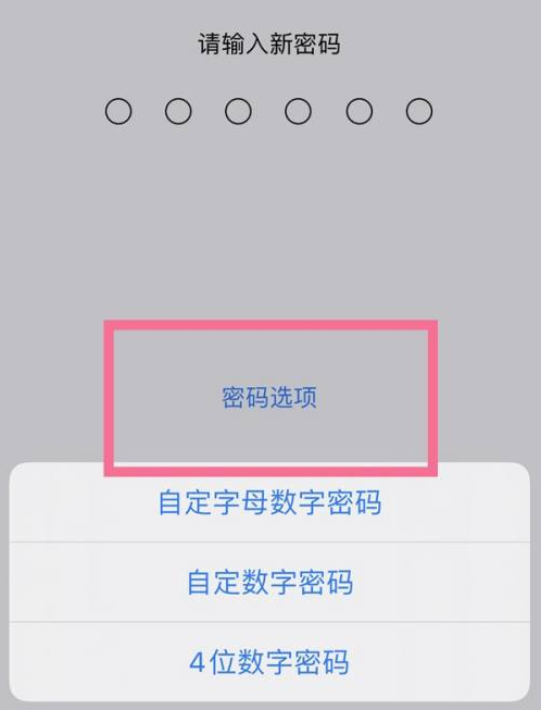 吉利苹果14维修分享iPhone 14plus设置密码的方法 