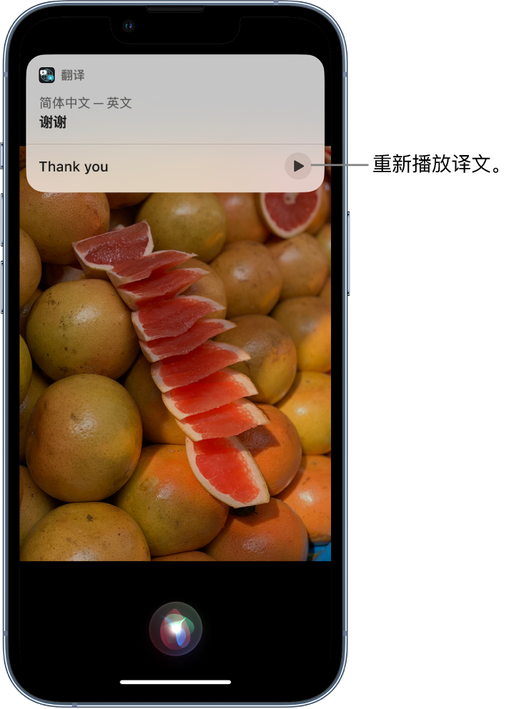 吉利苹果14维修分享 iPhone 14 机型中使用 Siri：了解 Siri 能帮你做什么 