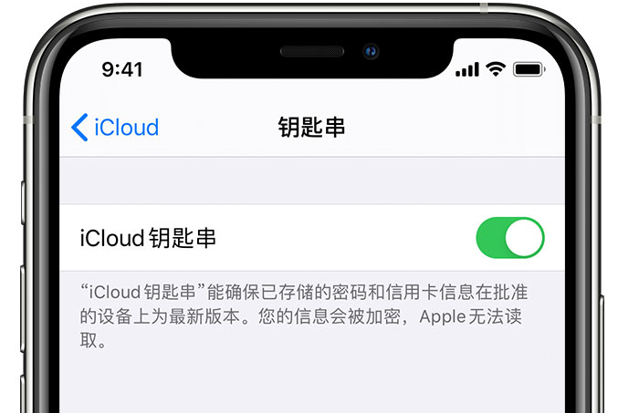 吉利苹果手机维修分享在 iPhone 上开启 iCloud 钥匙串之后会储存哪些信息 