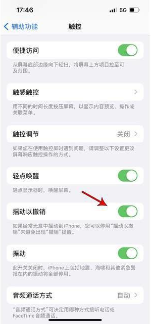 吉利苹果手机维修分享iPhone手机如何设置摇一摇删除文字 