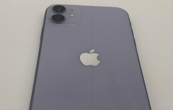 吉利苹果11系统维修分享iPhone11手机系统崩溃无法开机如何解决 